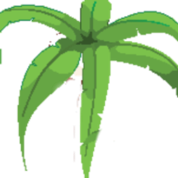 Bloomshop Logo