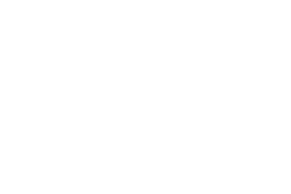 Blueseventy Logo