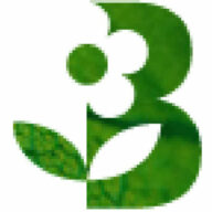 Blumen-Breyer Logo
