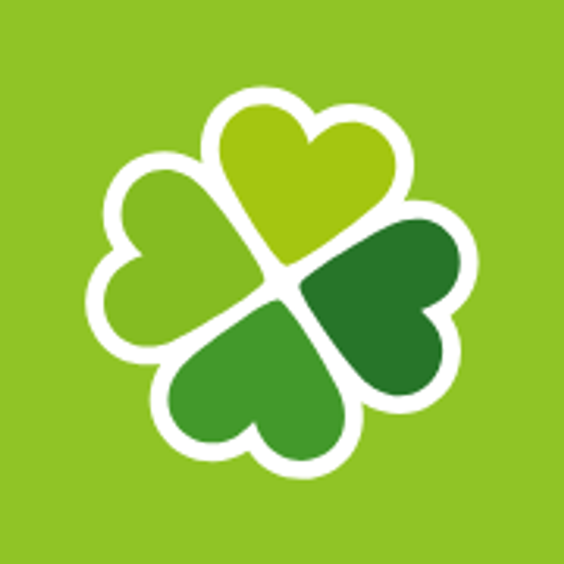 Blumen Risse Logo
