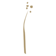 Floristik Schönmann Gärtnerei Logo