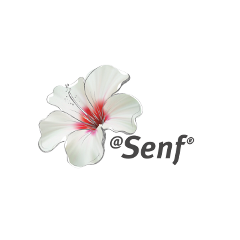 Blumen Senf Logo