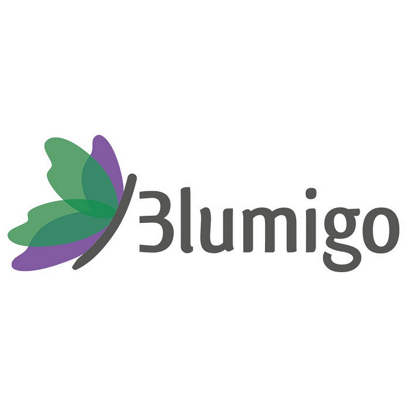 Blumigo Logo