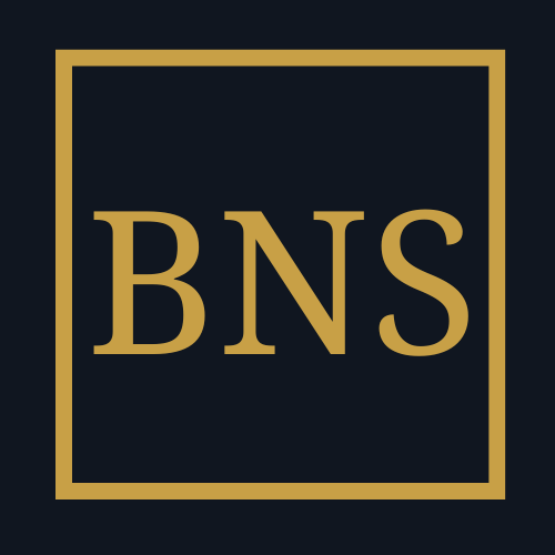 BNS IT UG (haftungsbeschränkt) Logo