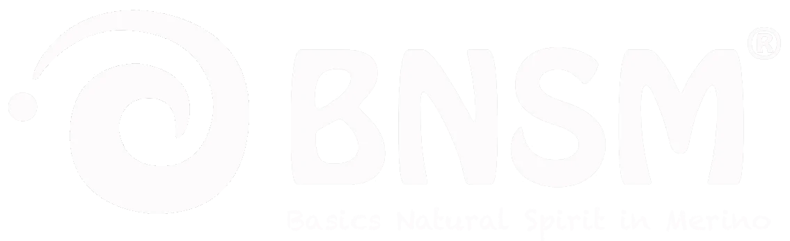 bnsm.de Logo