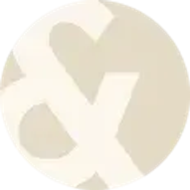 Bo & Birdie Logo