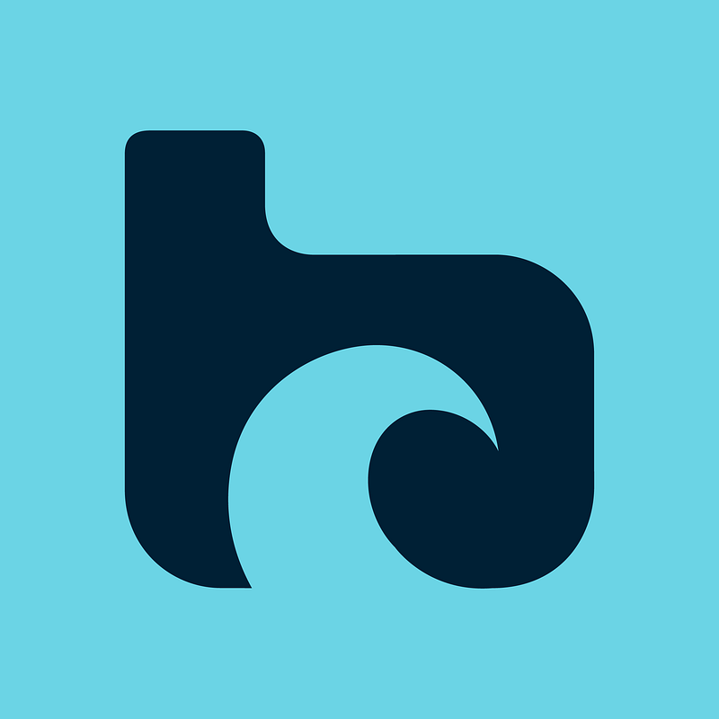 boardmasters.com Logo