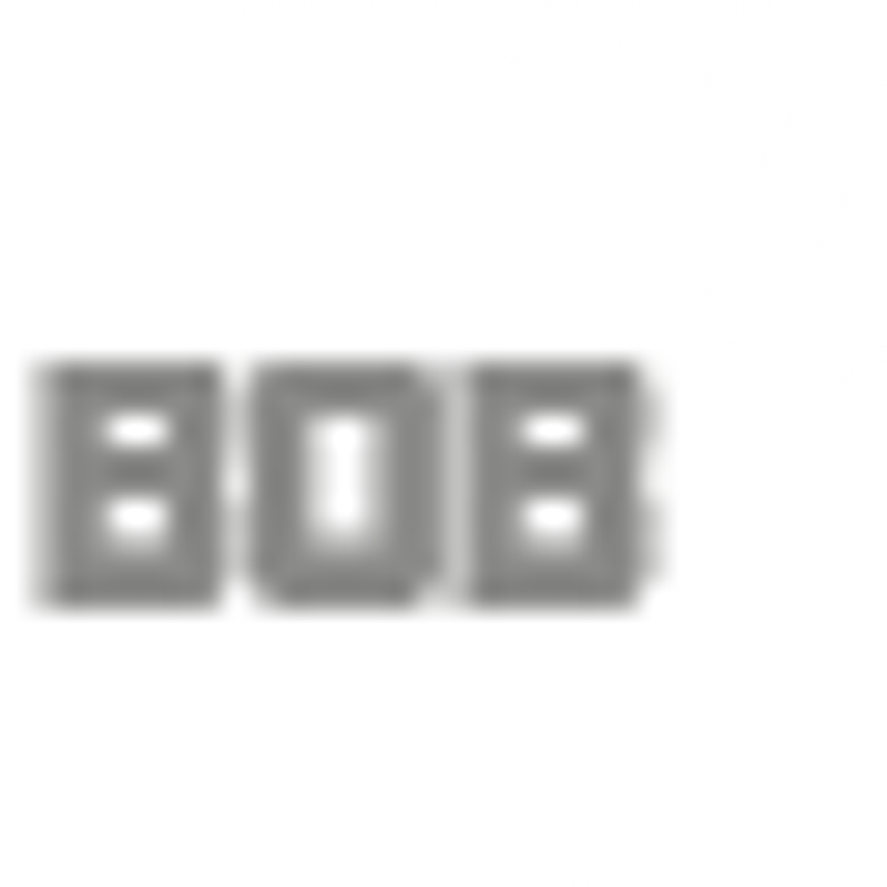 BOB Vermiet- und Vertriebs GmbH Logo
