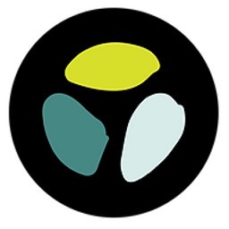 Bode Gesundheitsberatung Logo
