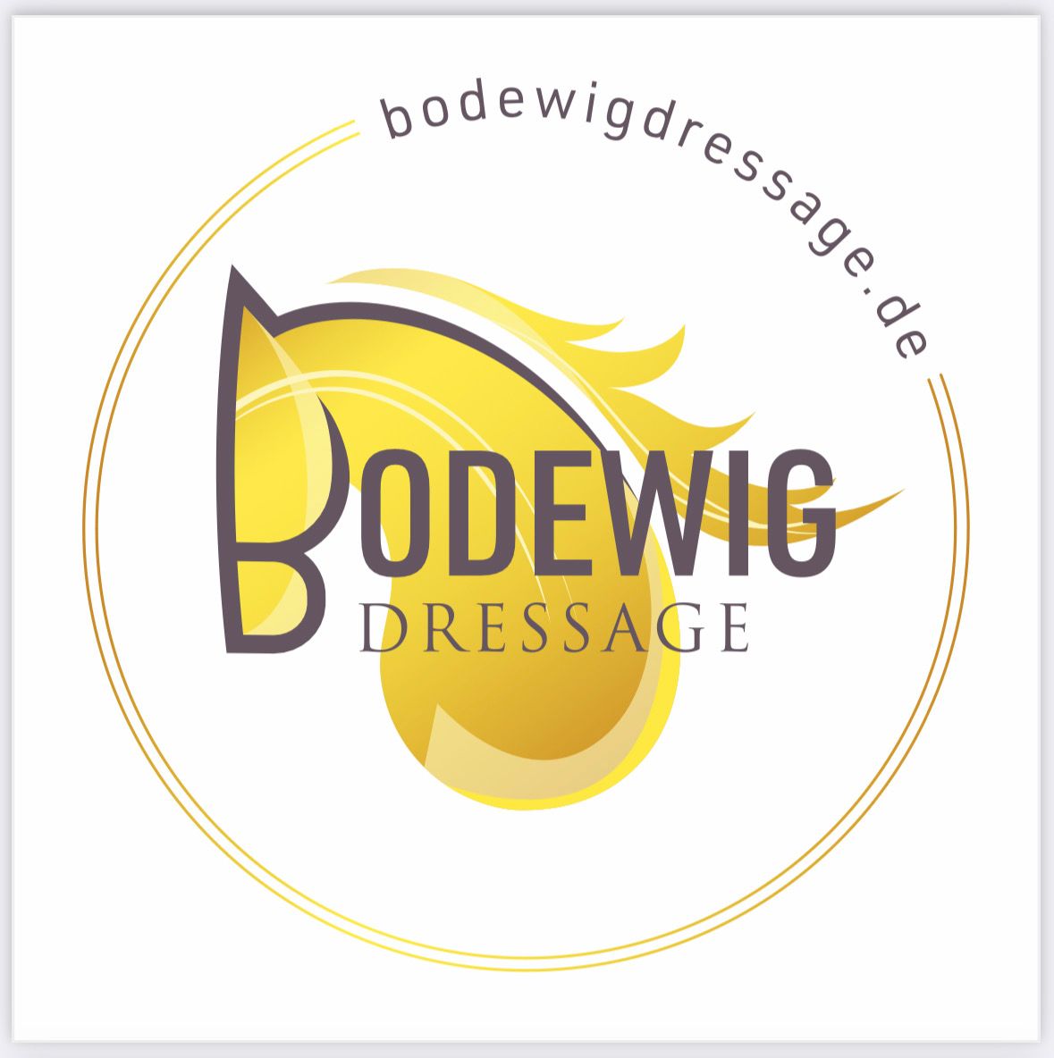 BODEWIG DRESSAGE Logo