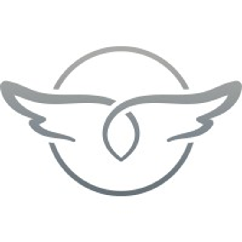 Bodywings Logo