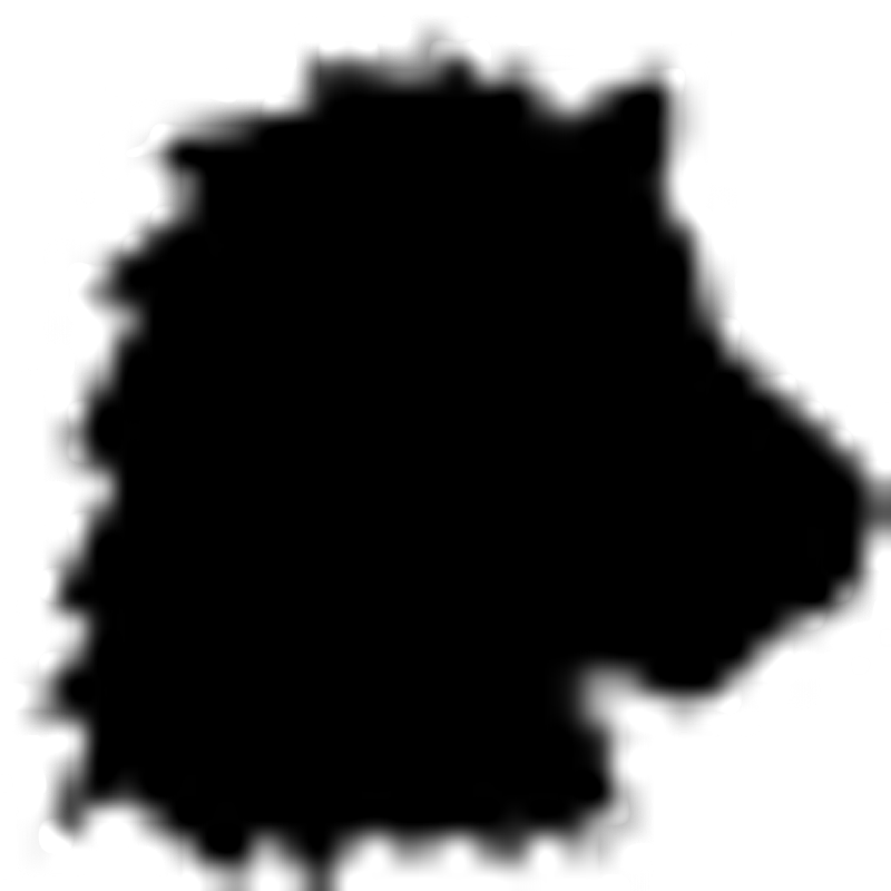Bogenloewe Logo
