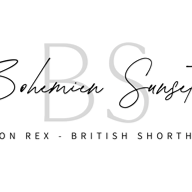 Bohemien Sunset Logo