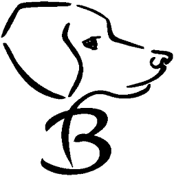 www.bonali.de Logo