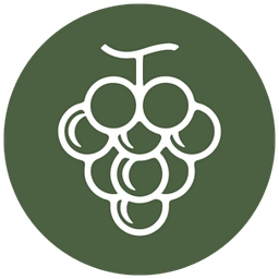 bonvino.de Logo