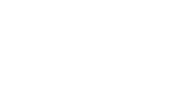 Ulrike von Borstel networks Logo
