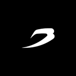 BOXRAW Logo