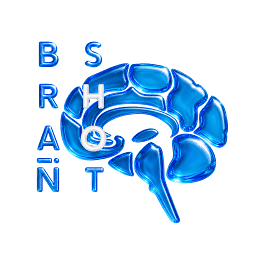 Brain-Shot Academy AG Logo