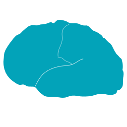 BrainTesting Logo