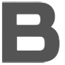 Brandl Transport GmbH Spedition Logo