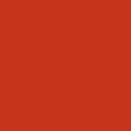 PRO Optik Logo