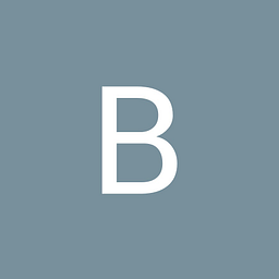 Brandschutz Service Berlin Logo
