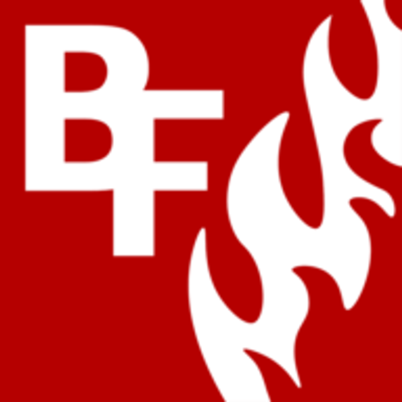 Brandschutzservice Friedland Logo