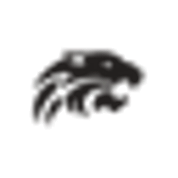 Brandsilvers Logo