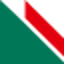 Braun Dachtechnik Logo