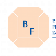 Braun Fliesen- u. Keramikbau Logo