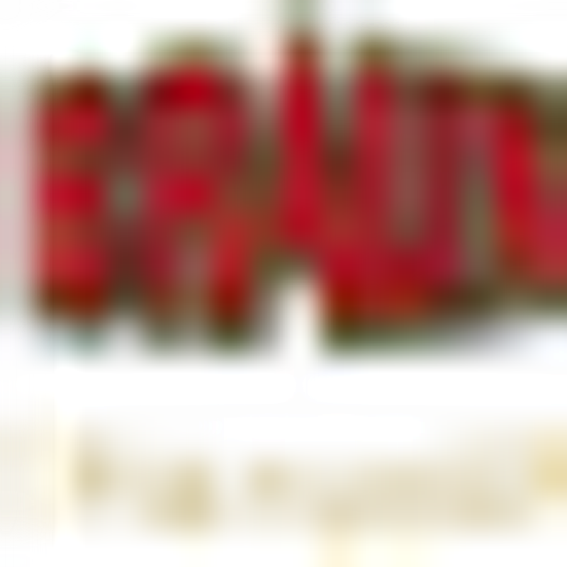 Braun Spirituosen Logo