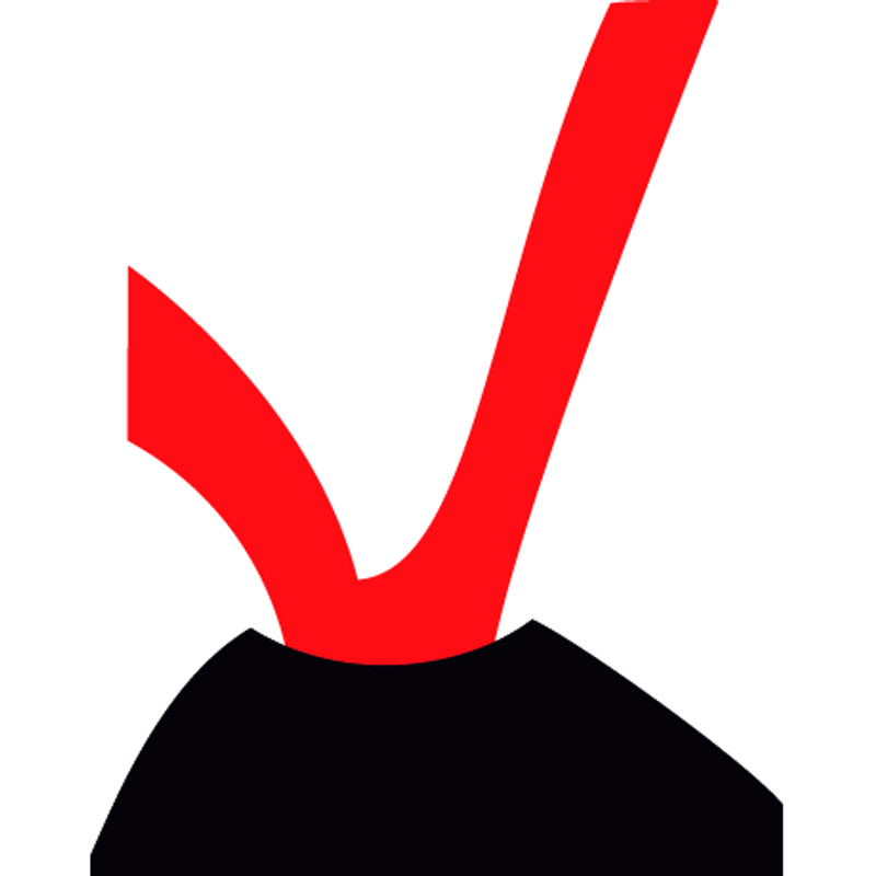 Vulcano BrennstoffeGmbH Logo