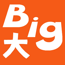 Bridesire Logo