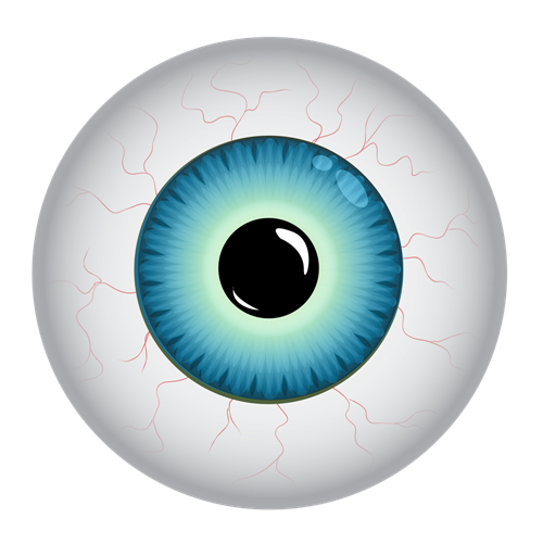 Brillen-Schmidt Augenoptik Optiker Logo