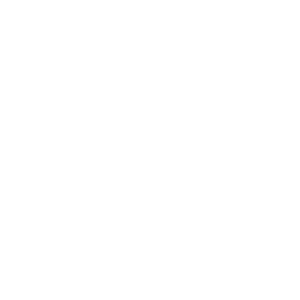 Brimacs Logo