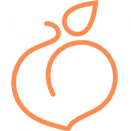 Briskva Logo