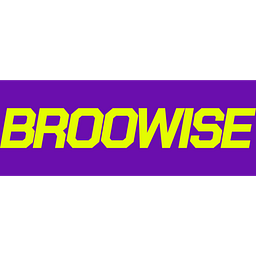 www.broowise.com Logo