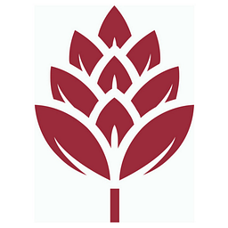 BROWIN DE Logo