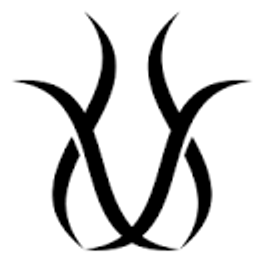 Brows Expert Logo