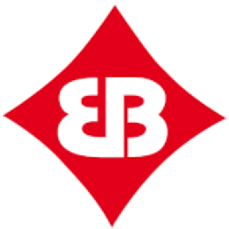 bruetting-sport.com Logo