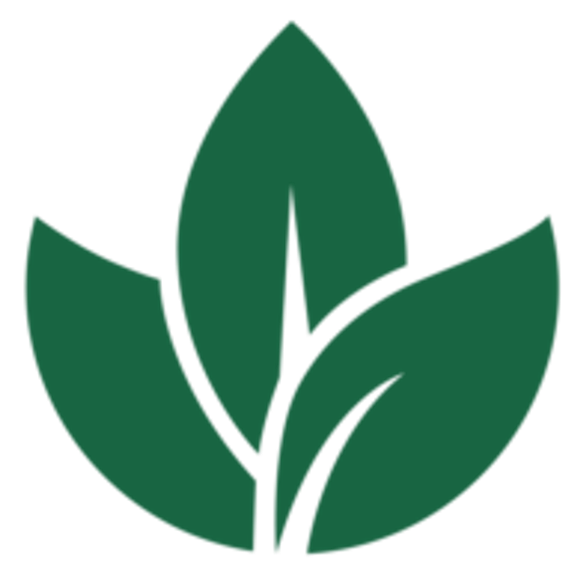 Brunozimmer Logo