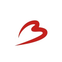Brussels Airport Logo