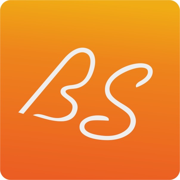 Bsdropshipping Logo