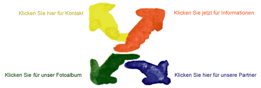 Verein zur Förderung der Behindertenselbsthilfe e.V. Logo