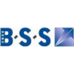BSS GmbH Steuerberatungsgesellschaft Logo