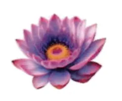 Bua Schein Thai - Fernöstliches Massagestudio Logo