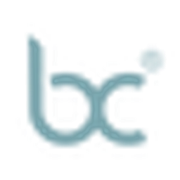 Bubble Concept Logo