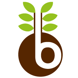 Budde Tobias Logo