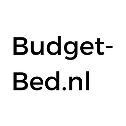 Budget BED Logo