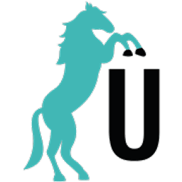 Bürohengst GmbH Logo